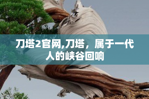 属于一代人的峡谷回响图片