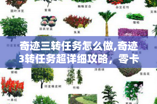 奇迹3转任务超详细攻略图片