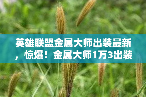 英雄联盟金属大师出装最新图片