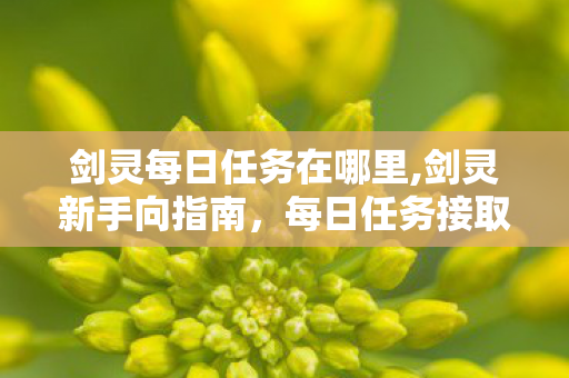 每日任务接取全点位梳理图片
