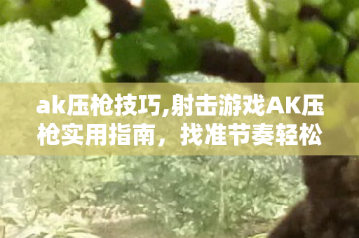 射击游戏AK压枪实用指南图片