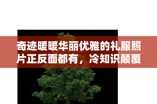 奇迹暖暖华丽优雅的礼服照片正反面都有图片