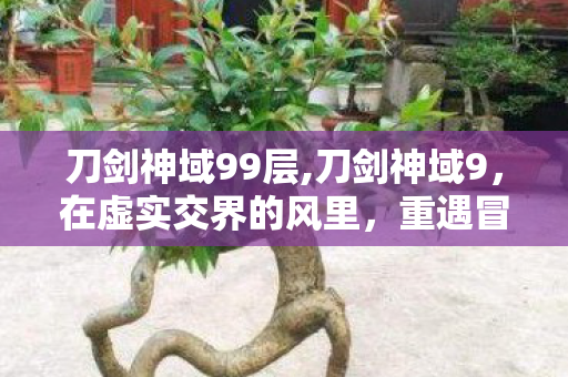 重遇冒险最初的滚烫温度图片