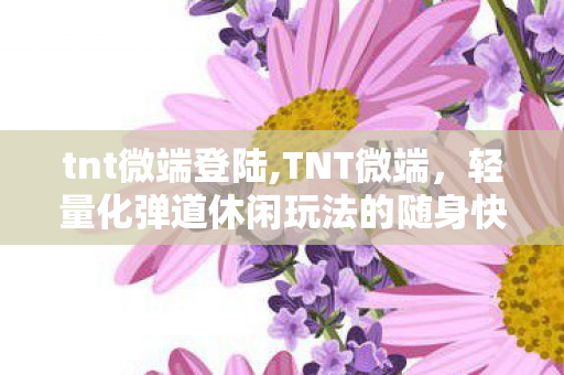 tnt微端登陆,TNT微端，轻量化弹道休闲玩法的随身快乐载体