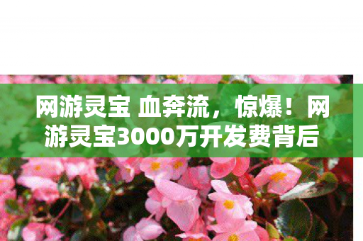 网游灵宝 血奔流，惊爆！网游灵宝3000万开发费背后，竟藏着让玩家吓一跳的隐情！