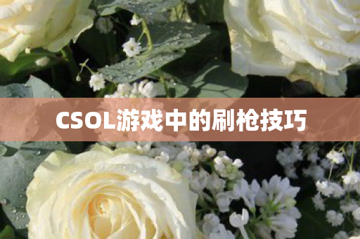 CSOL游戏中的刷枪技巧图片