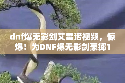 dnf爆无影剑艾雷诺视频,惊爆!为DNF爆无影剑豪掷18万,老婆签离婚协议,我悔不当初! dnf爆无影剑艾雷诺视频,惊爆!为DNF爆无影剑豪掷18万,老婆签离婚协议,我悔不当初!