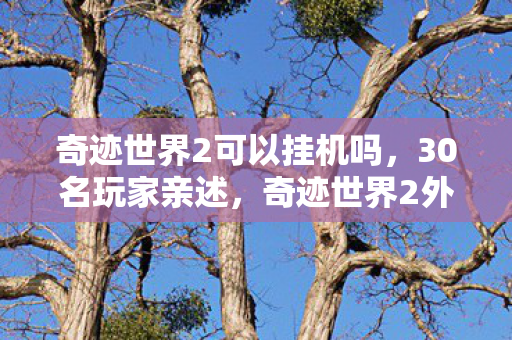 奇迹世界2可以挂机吗,30名玩家亲述,奇迹世界2外挂疑云,这操作真让人绷不住了! 奇迹世界2可以挂机吗,30名玩家亲述,奇迹世界2外挂疑云,这操作真让人绷不住了!