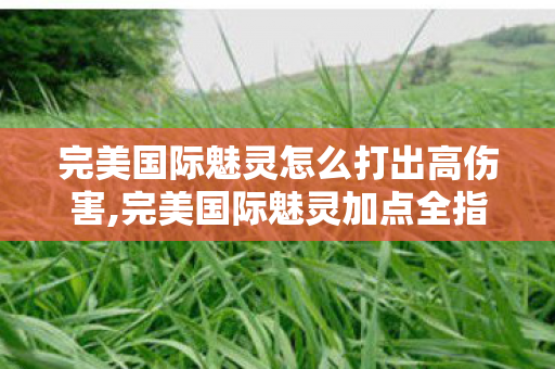 完美国际魅灵怎么打出高伤害,完美国际魅灵加点全指南,适配不同玩法流派的实用方案 完美国际魅灵怎么打出高伤害,完美国际魅灵加点全指南,适配不同玩法流派的实用方案