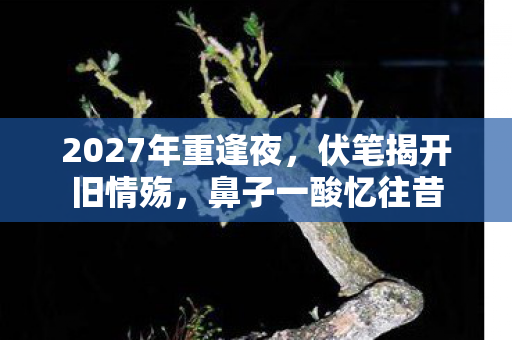 2027年重逢夜,伏笔揭开旧情殇,鼻子一酸忆往昔 2027年重逢夜,伏笔揭开旧情殇,鼻子一酸忆往昔