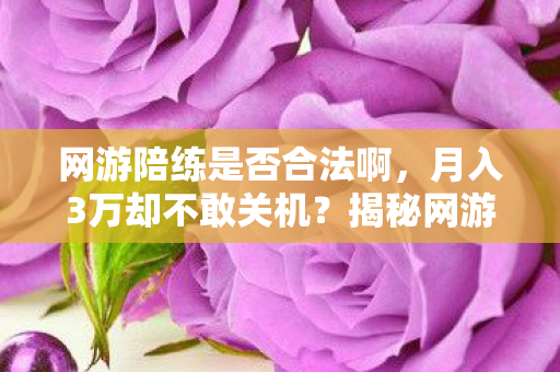 网游陪练是否合法啊,月入3万却不敢关机?揭秘网游陪练的24小时情感囚徒真相 网游陪练是否合法啊,月入3万却不敢关机?揭秘网游陪练的24小时情感囚徒真相