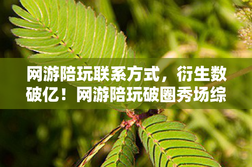 中国最好的烹饪学校排名,烹饪学校大洗牌!90%人不知的3个数据,揭开年入百万的隐藏赛道 中国最好的烹饪学校排名,烹饪学校大洗牌!90%人不知的3个数据,揭开年入百万的隐藏赛道