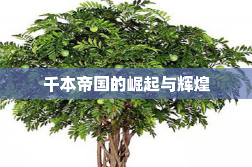 千本帝国的崛起与辉煌图片