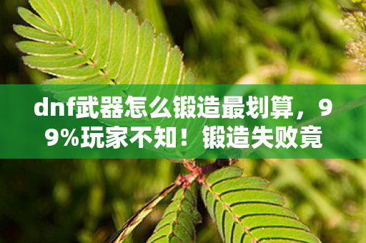 dnf武器怎么锻造最划算,99%玩家不知!锻造失败竟能触发隐藏属性?颠覆认知的逆天操作 dnf武器怎么锻造最划算,99%玩家不知!锻造失败竟能触发隐藏属性?颠覆认知的逆天操作