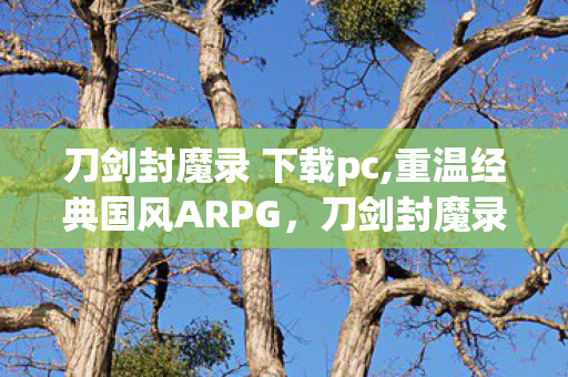 刀剑封魔录 下载pc,重温经典国风ARPG,刀剑封魔录正传的旧时光魅力 刀剑封魔录 下载pc,重温经典国风ARPG,刀剑封魔录正传的旧时光魅力