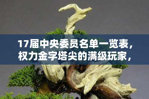 17届中央委员名单一览表,权力金字塔尖的满级玩家,当中央委员名单照见人生副本的永久封号 17届中央委员名单一览表,权力金字塔尖的满级玩家,当中央委员名单照见人生副本的永久封号