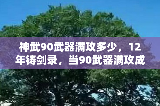 神武90武器满攻多少,12年铸剑录,当90武器满攻成为服务器最后的墓志铭 神武90武器满攻多少,12年铸剑录,当90武器满攻成为服务器最后的墓志铭