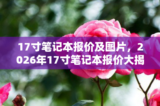 17寸笔记本报价及图片,2026年17寸笔记本报价大揭秘!惊喜价还是天价?悬念拉满! 17寸笔记本报价及图片,2026年17寸笔记本报价大揭秘!惊喜价还是天价?悬念拉满!