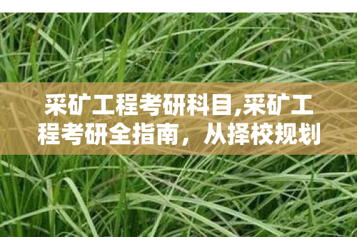 采矿工程考研科目,采矿工程考研全指南,从择校规划到上岸落地的实用路径 采矿工程考研科目,采矿工程考研全指南,从择校规划到上岸落地的实用路径