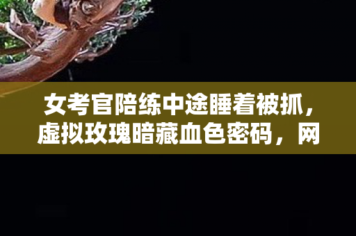 女考官陪练中途睡着被抓,虚拟玫瑰暗藏血色密码,网游陪练离奇失踪悬案令人毛骨悚然 女考官陪练中途睡着被抓,虚拟玫瑰暗藏血色密码,网游陪练离奇失踪悬案令人毛骨悚然