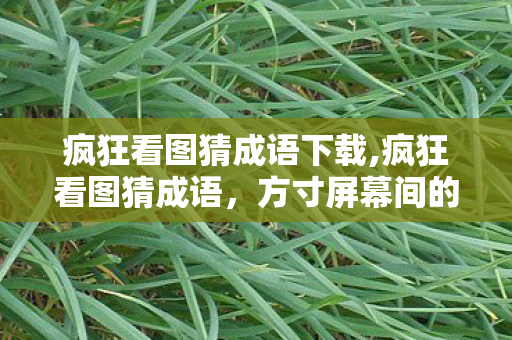疯狂看图猜成语下载,疯狂看图猜成语,方寸屏幕间的国风益智小确幸 疯狂看图猜成语下载,疯狂看图猜成语,方寸屏幕间的国风益智小确幸