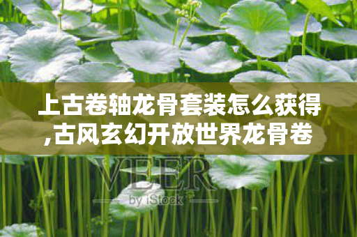 上古卷轴龙骨套装怎么获得,古风玄幻开放世界龙骨卷轴获取全攻略 高效收集不走弯路 上古卷轴龙骨套装怎么获得,古风玄幻开放世界龙骨卷轴获取全攻略 高效收集不走弯路