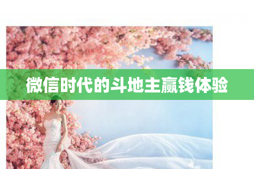 微信时代的斗地主赢钱体验图片