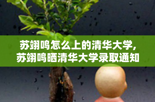 苏翊鸣怎么上的清华大学,苏翊鸣晒清华大学录取通知书,雪道逐风后,少年开启书桌新程 苏翊鸣怎么上的清华大学,苏翊鸣晒清华大学录取通知书,雪道逐风后,少年开启书桌新程