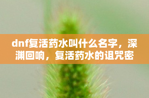 dnf复活药水叫什么名字，深渊回响，复活药水的诅咒密码与永夜失踪案