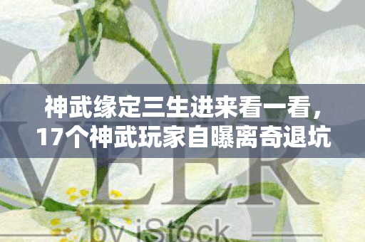 神武缘定三生进来看一看,17个神武玩家自曝离奇退坑!服务器暗改实锤?老炮,我绷不住了 神武缘定三生进来看一看,17个神武玩家自曝离奇退坑!服务器暗改实锤?老炮,我绷不住了