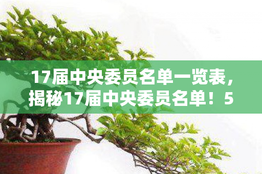 17届中央委员名单一览表,揭秘17届中央委员名单!5大心得+避坑指南助你洞察风云 17届中央委员名单一览表,揭秘17届中央委员名单!5大心得+避坑指南助你洞察风云