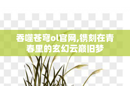 吞噬苍穹ol官网,镌刻在青春里的玄幻云巅旧梦 吞噬苍穹ol官网,镌刻在青春里的玄幻云巅旧梦
