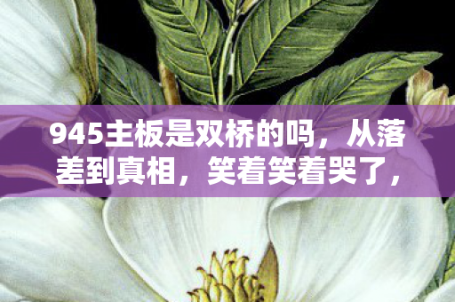 945主板是双桥的吗，从落差到真相，笑着笑着哭了，945主板竟成我最后的倔强
