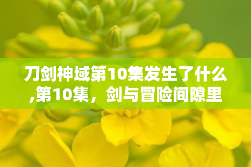 刀剑神域第10集发生了什么,第10集,剑与冒险间隙里的温柔注脚 刀剑神域第10集发生了什么,第10集,剑与冒险间隙里的温柔注脚
