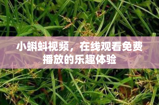 在线观看免费播放的乐趣体验图片