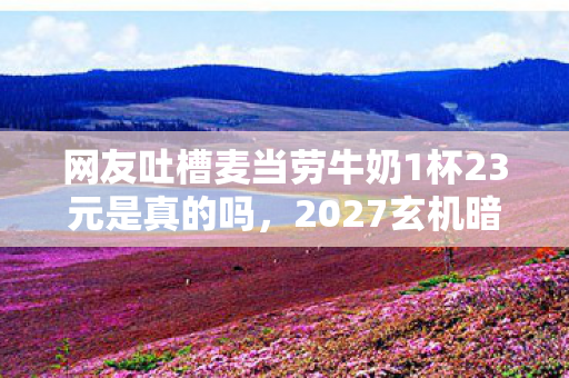 网友吐槽麦当劳牛奶1杯23元是真的吗,2027玄机暗藏,一杯牛奶的沉默,这游戏到底给了我什么? 网友吐槽麦当劳牛奶1杯23元是真的吗,2027玄机暗藏,一杯牛奶的沉默,这游戏到底给了我什么?