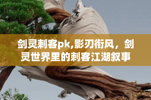 剑灵刺客pk,影刃衔风,剑灵世界里的刺客江湖叙事 剑灵刺客pk,影刃衔风,剑灵世界里的刺客江湖叙事