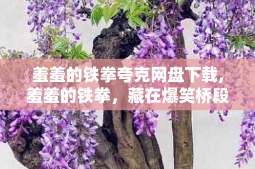 羞羞的铁拳夸克网盘下载,羞羞的铁拳,藏在爆笑桥段里的热血与温情 羞羞的铁拳夸克网盘下载,羞羞的铁拳,藏在爆笑桥段里的热血与温情
