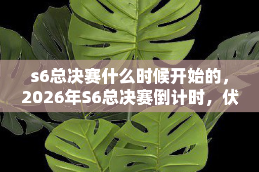 s6总决赛什么时候开始的,2026年S6总决赛倒计时,伏笔藏了五年,鼻子一酸想起你最后那句别走 s6总决赛什么时候开始的,2026年S6总决赛倒计时,伏笔藏了五年,鼻子一酸想起你最后那句别走