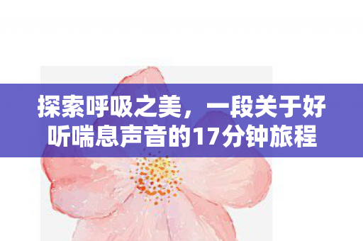 一段关于好听喘息声音的17分钟旅程图片