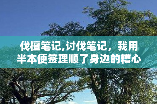 伐檀笔记,讨伐笔记,我用半本便签理顺了身边的糟心小事 伐檀笔记,讨伐笔记,我用半本便签理顺了身边的糟心小事