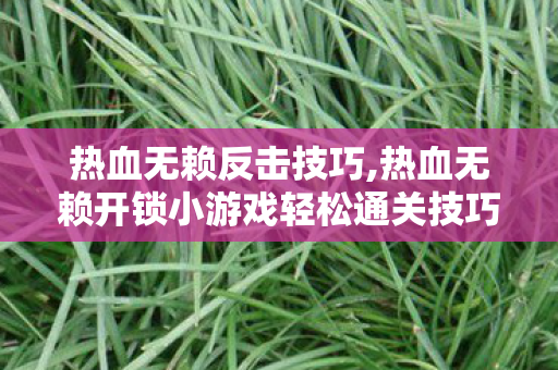 热血无赖反击技巧,热血无赖开锁小游戏轻松通关技巧分享