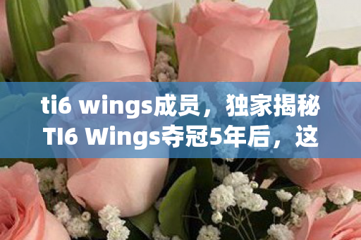 ti6 wings成员，独家揭秘TI6 Wings夺冠5年后，这3个数字藏着电竞未来必看心得！