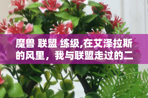 魔兽 联盟 练级,在艾泽拉斯的风里,我与联盟走过的二十载春秋 魔兽 联盟 练级,在艾泽拉斯的风里,我与联盟走过的二十载春秋