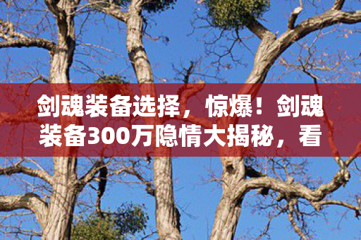 剑魂装备选择，惊爆！剑魂装备300万隐情大揭秘，看完真让人吓一跳！