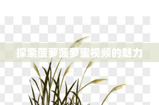 探索菠萝菠萝蜜视频的魅力图片