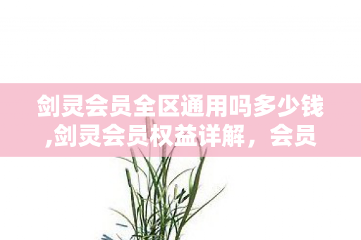 剑灵会员全区通用吗多少钱,剑灵会员权益详解，会员是否支持全区通用？