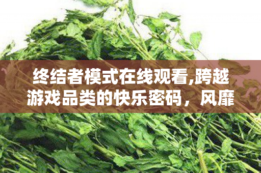 终结者模式在线观看,跨越游戏品类的快乐密码，风靡多年的终结者模式