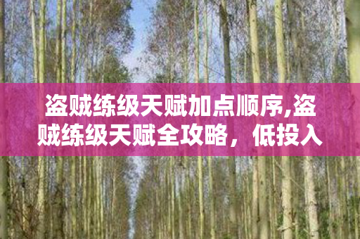 盗贼练级天赋加点顺序,盗贼练级天赋全攻略,低投入高回报的高效刷怪加点方案 盗贼练级天赋加点顺序,盗贼练级天赋全攻略,低投入高回报的高效刷怪加点方案