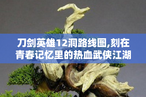 刀剑英雄12洞路线图,刻在青春记忆里的热血武侠江湖 刀剑英雄12洞路线图,刻在青春记忆里的热血武侠江湖